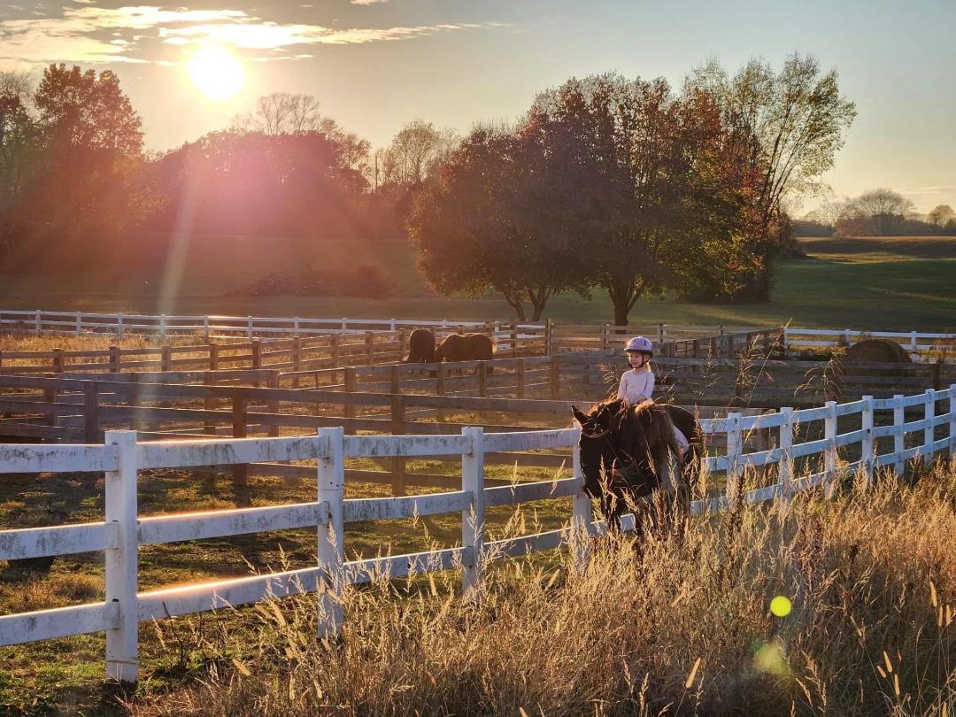 riding horses in pasture