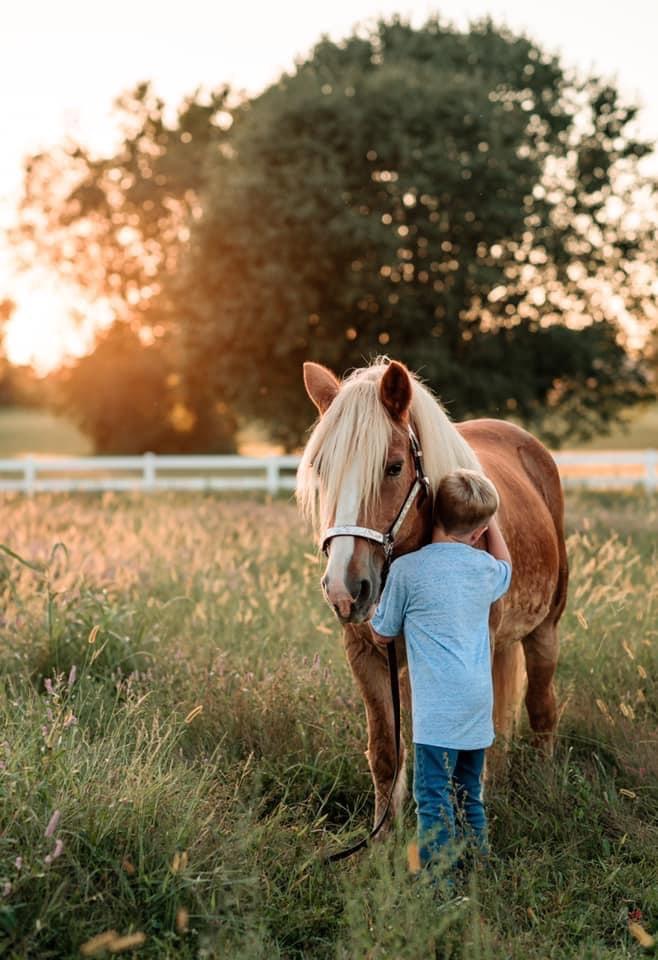 horse love